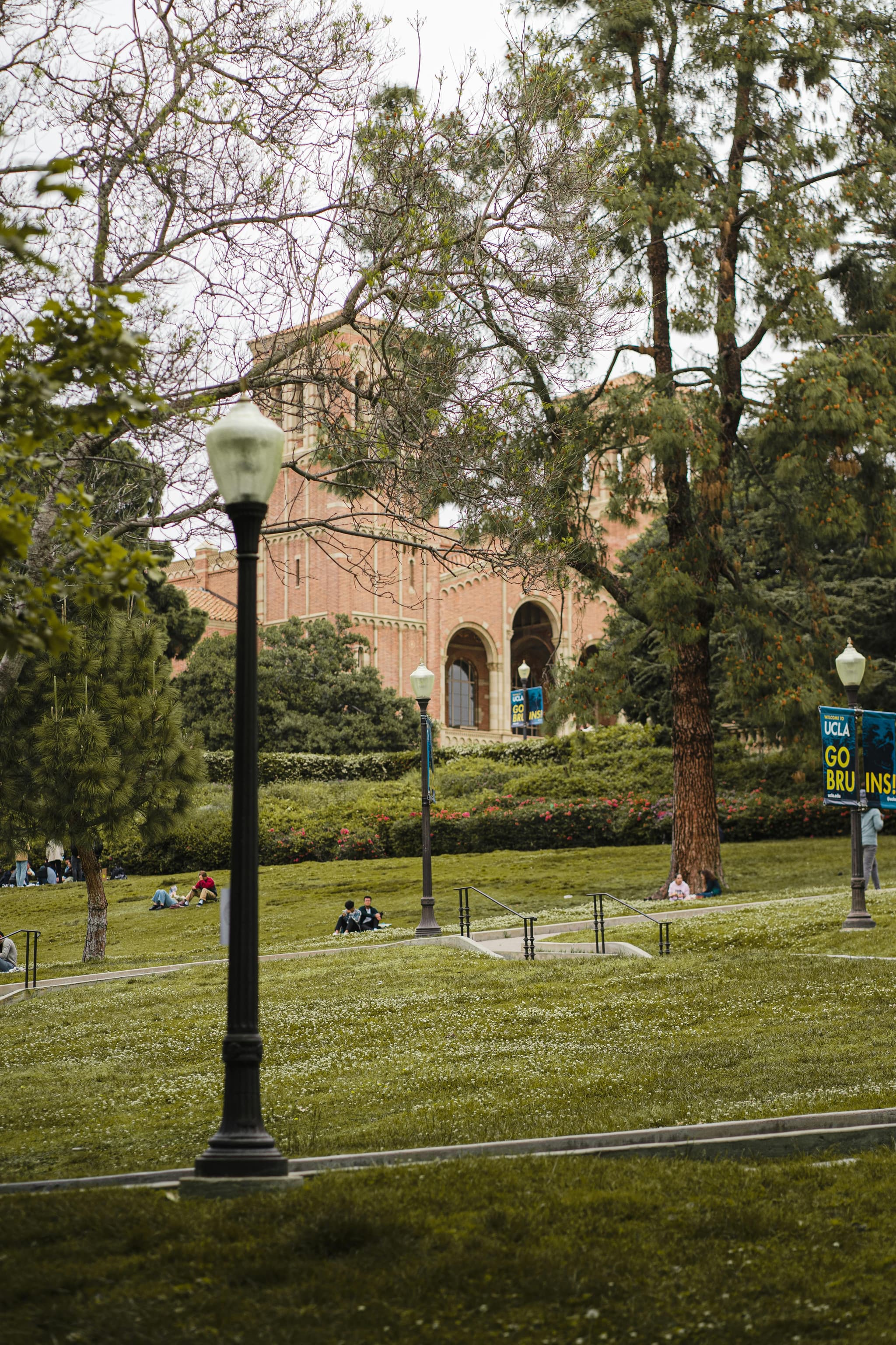 Study abroad and scholarship support